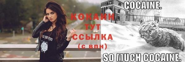 шишки Инсар