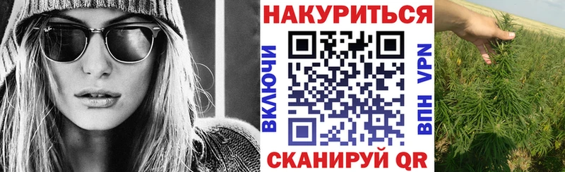 darknet телеграм  Оренбург  Марихуана сатива 